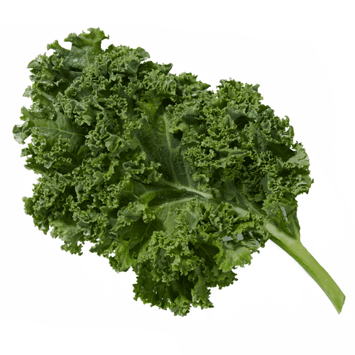 NNA176992,176992,NUTRICIA,,Real Food Blends Quinoa Meal Quinoa Kale,Premier  Medical Distribution